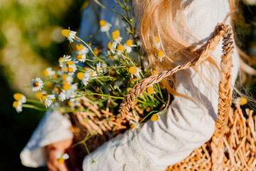 Cute little blonde girl in a cotton dress and straw hat walks in a field of daisies collects them in the basket