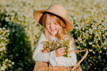 Cute little blonde girl in a cotton dress and straw hat walks in a field of daisies collects them...