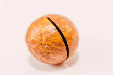 Fototapeta premium Nut. Nut in a macadamia shell.