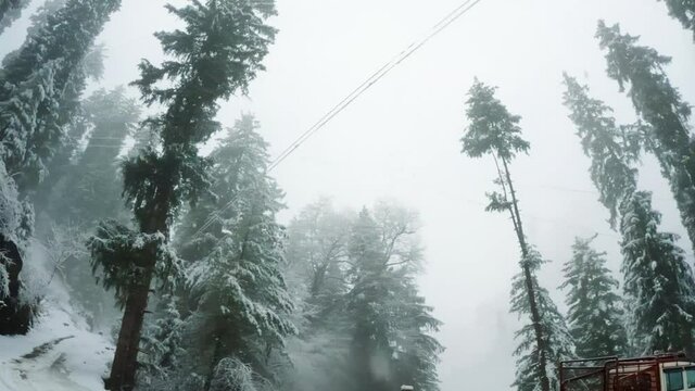 Forest covered by snow at Jana Waterfalls during the snowfall at Manali in Himachal Pradesh, India