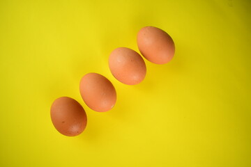 brown fresh round egg on bright yellow background