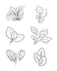 A set of tropical plants with a wide variety of leaves. Contour isolated objects on a white.
