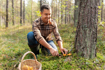 picking season and leisure people concept - happy smiling middle aged man with wicker basket of...