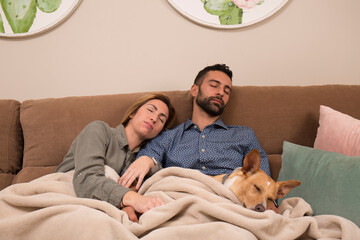 couple and their dog asleep, the man, the woman and the dog have fallen asleep sitting on a brown sofa and covered with a blanket