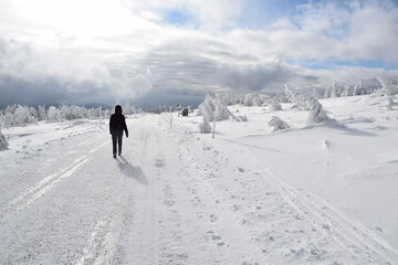 Harzer Brocken im Winter