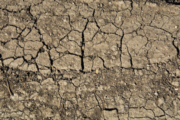Cracked dry land, drought.