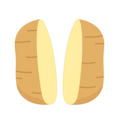Potato vector. Potato vector. Potato on white background.