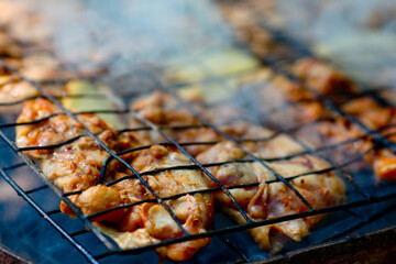 Roasted meat chicken  grilled skewers, barbecue