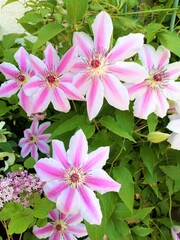 春の散歩道_SpringWork