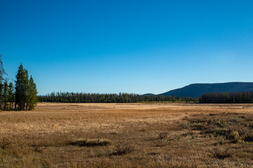 Landschaft, Colorado, Natur, Berg, Berge, landschaftlich, Himmel, Wald, Landschaft, Reisen, Espe,...