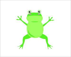 A green isolated frog on the white background