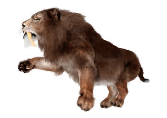 Obraz premium 3D Rendering Sabertooth Tiger on White
