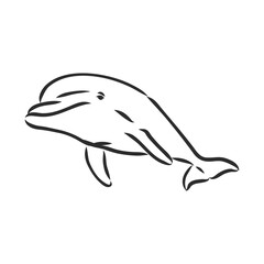 Fototapeta premium simple dolphin silhouette. dolphin, vector sketch on a white background