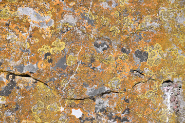 High quality stone and rock textures and backgrounds. Sets of black, gray, blue and yellow colors. rusty textures.