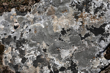 High quality stone and rock textures and backgrounds. Sets of black, gray, blue and yellow colors. rusty textures.