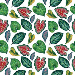Anthurium, Caladium, Tropical  leaves, branches foliage seamless pattern illustration watercolor hand paint For design textiles, paper, wallpaper