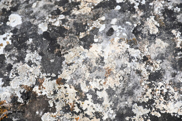 High quality stone and rock textures and backgrounds. Sets of black, gray, blue and yellow colors. rusty textures.