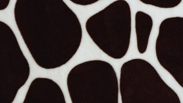 Black and white coloring animal skins. Texture of print fabric. Stop motion animation