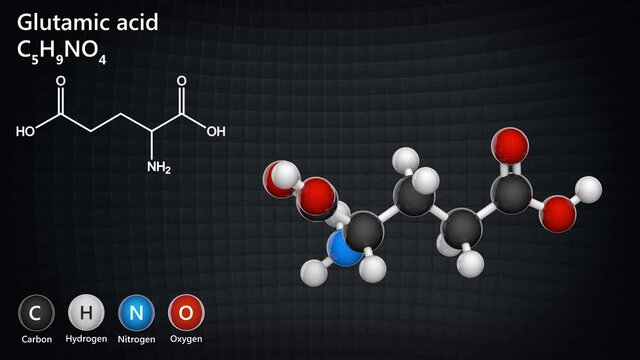Glutamic acid (Glu), also referred to as glutamate, is one of the 20 proteinogenic amino acids. Formula: C5H9NO4. 3D render. Seamless loop. Chemical structure model: Ball and Stick.
