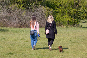 Naklejka na ściany i meble Two women walking their dog in the countryside
