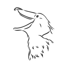 Hand drawn sketch style shoebill. Vector illustration isolated on white background.