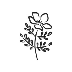 Ink, pencil, the leaves and flowers of apple isolated. Line art transparent background. Hand drawn nature painting. Freehand sketching illustration.