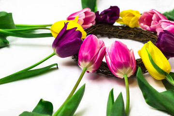 A bouquet of tulips of pink, yellow and purple flowers. White background