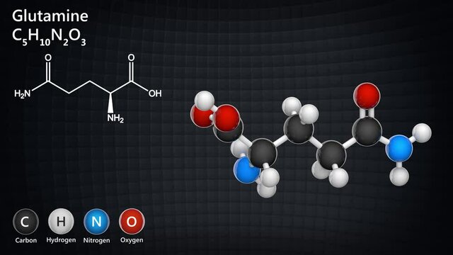 Glutamine (symbol Gln or Q) is an amino acid that is used in the biosynthesis of proteins. Formula: C5H10N2O3. 3D render. Seamless loop. Chemical structure model: Ball and Stick.