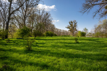 Obraz premium Auenlandschaft bei Ludwigshöhe am Rhein