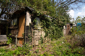 Run down garden shed example