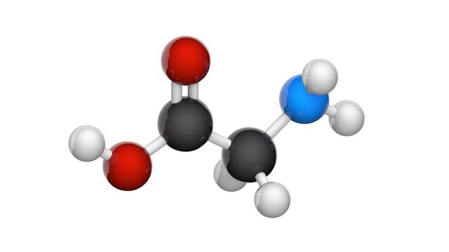 Glycine (symbol Gly or G) is found primarily in gelatin and used therapeutically as a nutrient. Formula: C2H5NO2. 3D render. Seamless loop. Chemical structure model: Ball and Stick. White background.