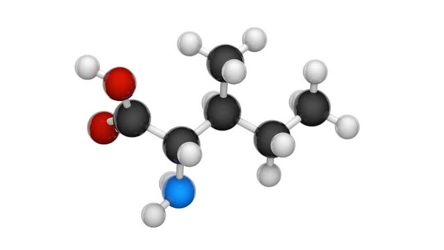 Isoleucine (symbol Ile or I) is an amino acid that is used in the biosynthesis of proteins. Formula: C6H13NO2. 3D render. Seamless loop. Chemical structure model: Ball and Stick. White background.