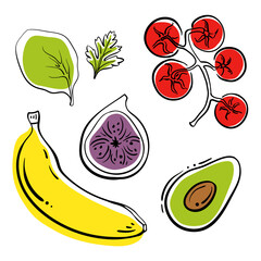 Colorful line sketch collection of vegetables, herbs, fruits and berries isolated on white background. Doodle hand drawn fruits. Vector illustration