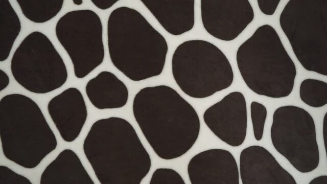 Texture of print fabric striped zebra, Dalmatian dog and leopard for background. Drawn black spots on white background