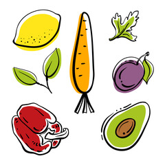 Colorful line sketch collection of vegetables, herbs, fruits and berries isolated on white background. Doodle hand drawn fruits. Vector illustration