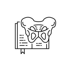 Osteology color line icon. Pictogram for web page, mobile app