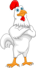 cute chicken cartoon isolated on white background