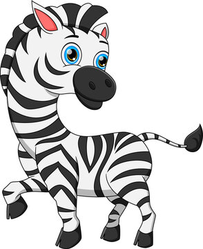 cute zebra cartoon isolated on white background