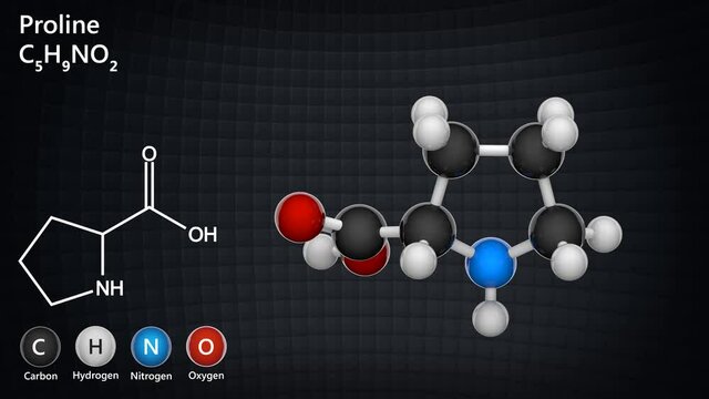 Proline (symbol Pro or P) is a cyclic, nonessential amino acid in humans. Formula: C5H9NO2. 3D render. Seamless loop. Chemical structure model: Ball and Stick.