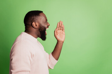 Profile photo of aggressive promoter man look empty space palm open mouth scream wear white shirt over green background