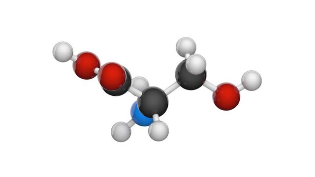 Serine (symbol Ser or S)is an amino acid that is used in the biosynthesis of proteins. Formula: C3H7NO3. 3D render. Seamless loop. Chemical structure model: Ball and Stick. White background.