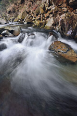 River in the Carpathian mountains