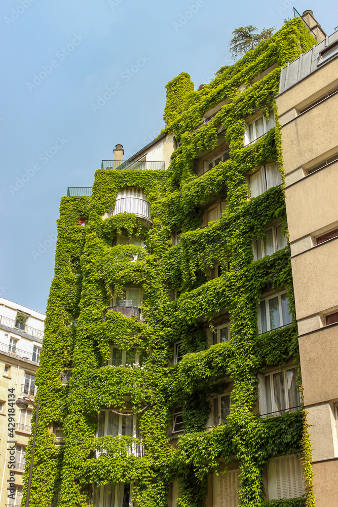 Canvas Prints Mur végétal d'un immeuble à Paris