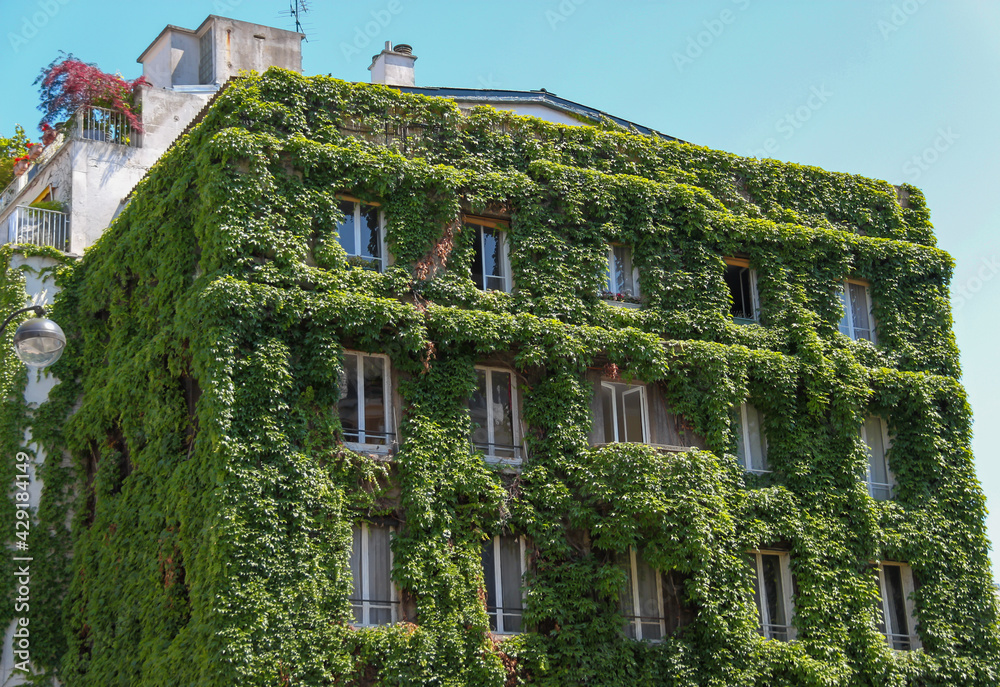 Poster Immeuble végétalisé à Paris