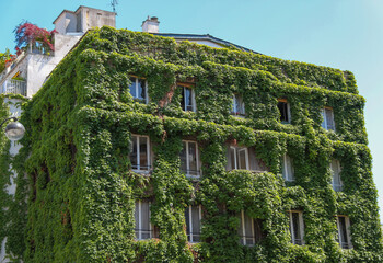 Immeuble végétalisé à Paris