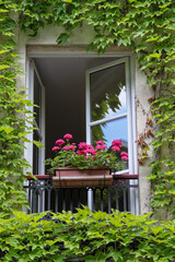Fototapeta na wymiar Fleurs à une fenêtre d'immeuble à Paris