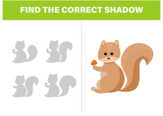 Find the correct shadow. Cute squirrel. Educational game for kids. Collection of children's games. Vector illustration in cartoon style