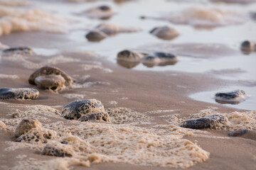 Close-up of beach pebbles with sea foam pattern the sand. Abstract nature background image