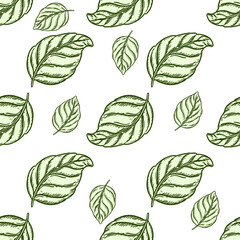 Hand drawn seamless pattern black and white of blossom dogrose flower, currant, plant, leaf. Vector illustration. Elements in graphic style label, sticker, menu, package.