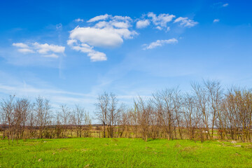 Early spring landscape